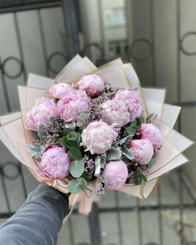 Pembe Şakayık Lila Limonium