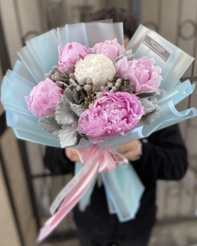 Pembe Beyaz Şakayık