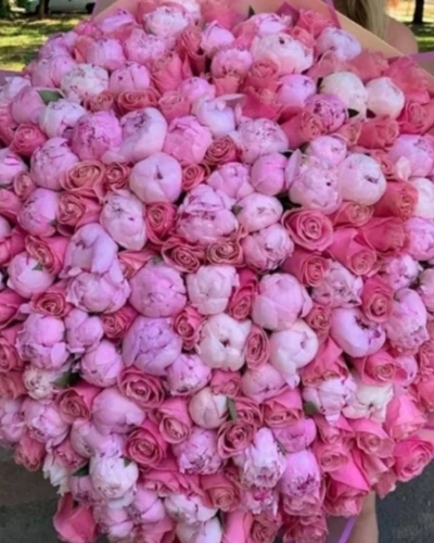 Büyük Şakayık Gül Buketi