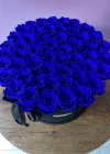 Mavi Şoklu Kutu Gül