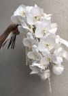 White Orchid Bridal Bouquet