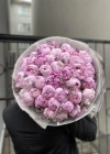 Pembe Şakayık Limonium 41 Li