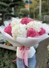 Beyaz Pembe Ortanca