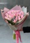 Pink Vip Tulip