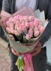 Pink Vip Tulip