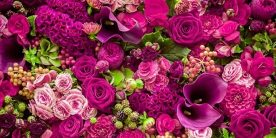 كيفية اختيار الزهور هدية؟ في أي الحالات يجب إرسال الزهور؟