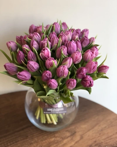 Lila Lale Aranjmanı