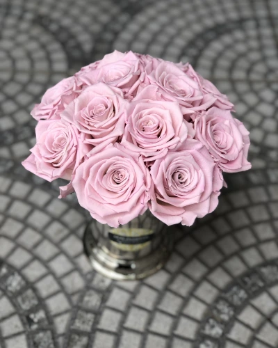 Gümüş Pembe Şoklu Gül