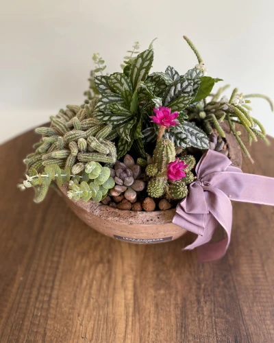 Beton Vazoda Teraryum