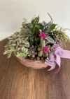 Terrarium in a Concrete Vase