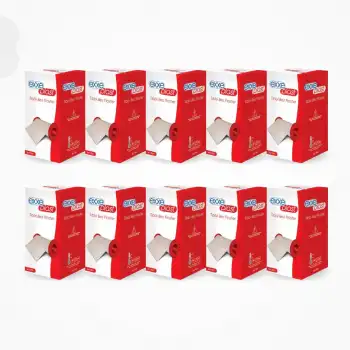 Exxe Plast Tıbbi Bez Flaster 10cm x 5m - 10 Adet