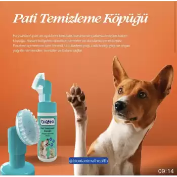 Bioxi Pati Temizleme Köpüğü