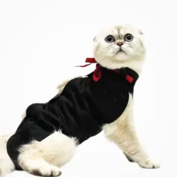 PetSuit Kedi Köpekler için Yara Koruyucu Korse (XXS) XX Small