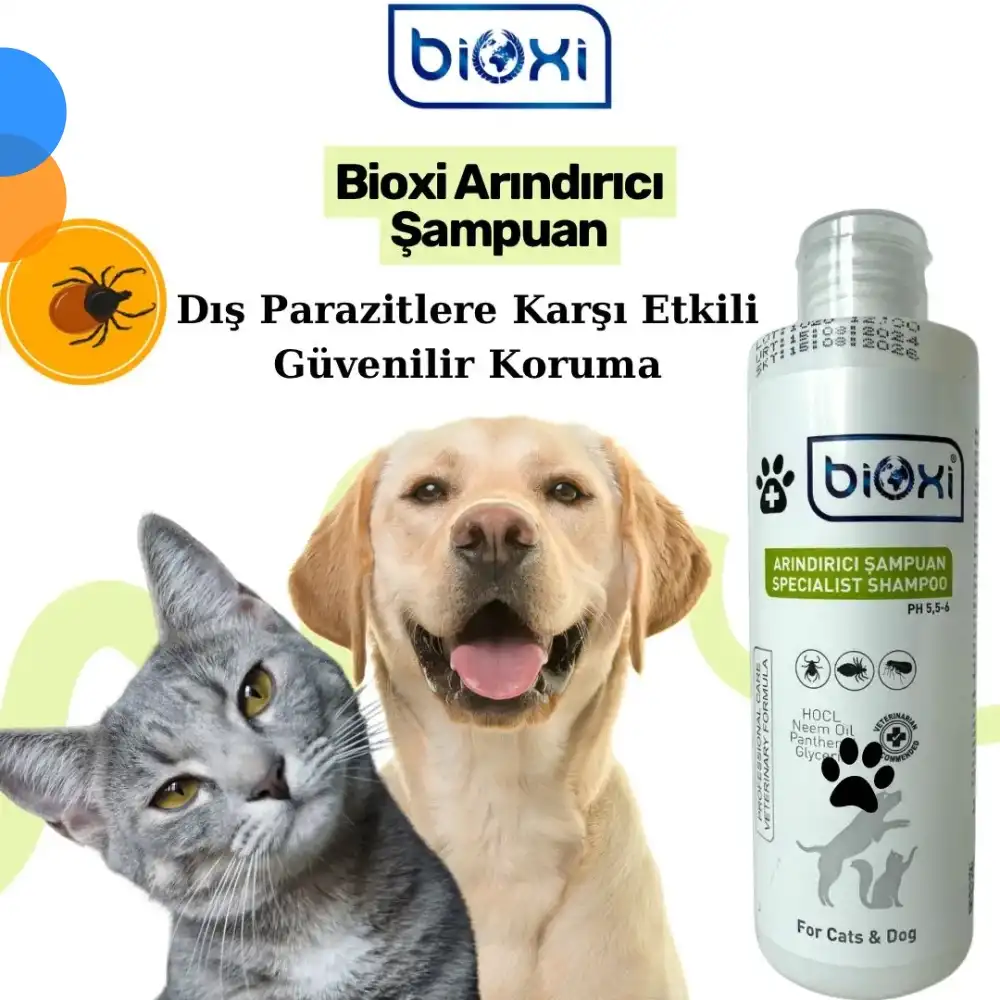 Bioxi Arındırıcı Şampuan 200 ml