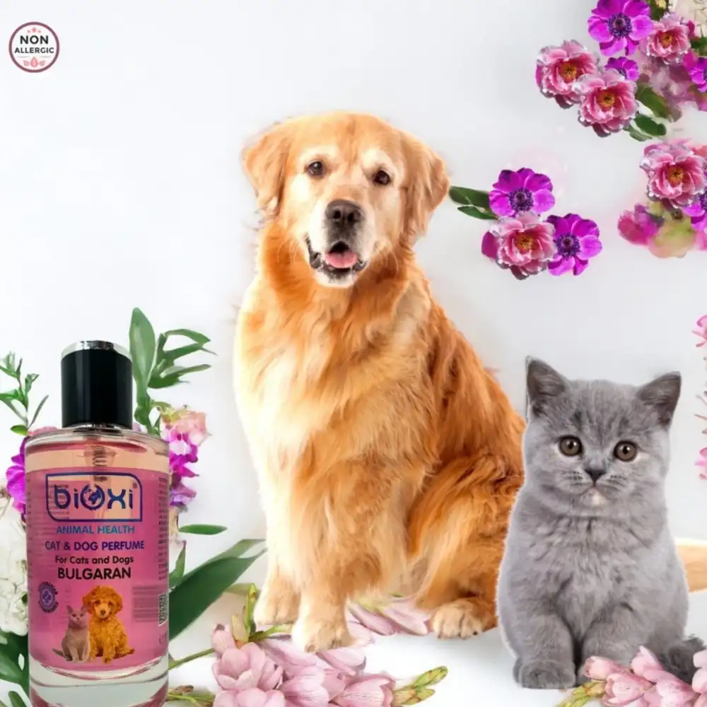 Bioxi Kedi & Köpek Parfümü Bulgaran 100ml