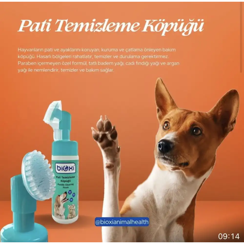 Bioxi Pati Temizleme Köpüğü