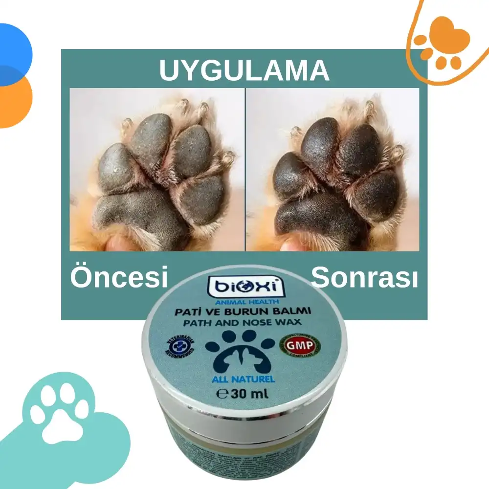 Bioxi Pati ve Burun Balmı – Evcil Hayvanlar İçin Besleyici ve Koruyucu Bakım Ürünü