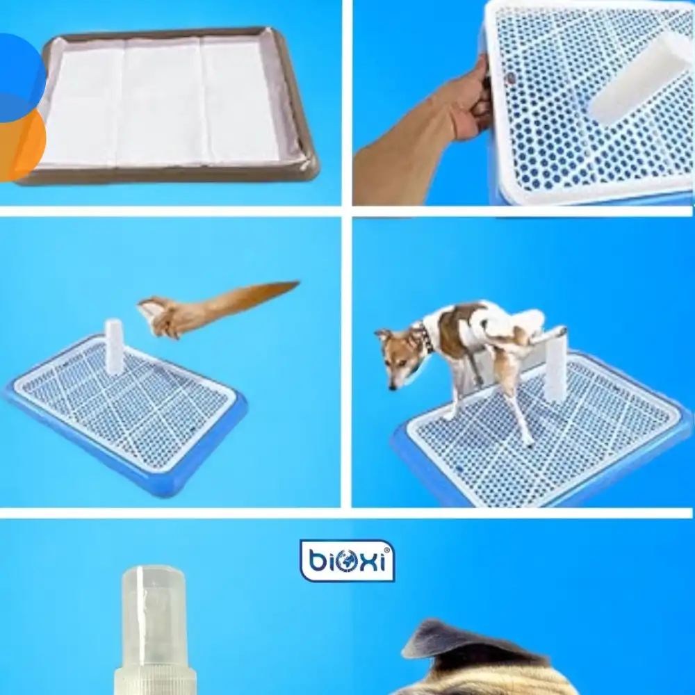 Bioxi Puppy Trainer Tuvalet Eğitim Spreyi 100 ML