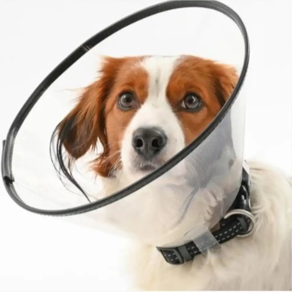 Bustark Kedi Köpek Elizabeth Kauçuk Dikişli Yakalık 25cm