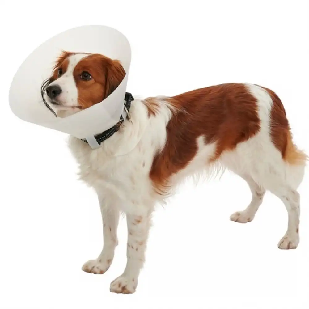 Bu-Med Yakalık Şeffaf 30 cm