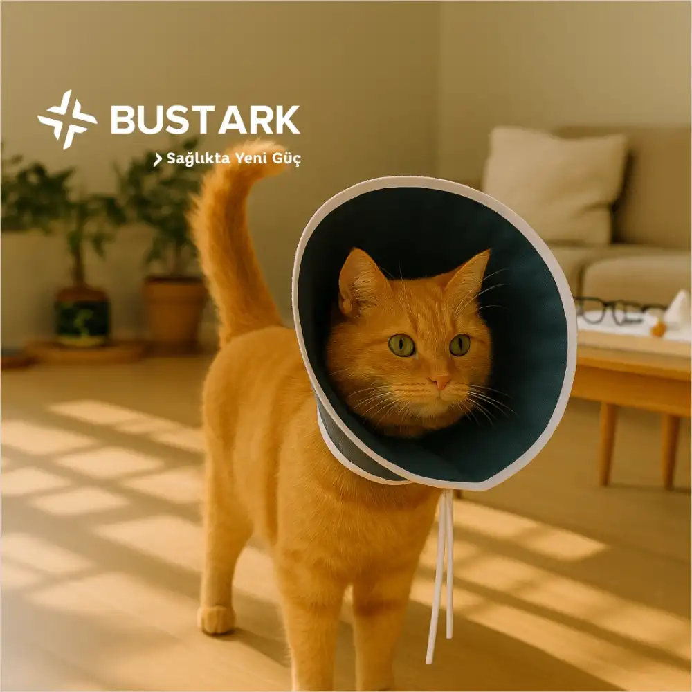 Bustark Kedi Bez Yakalık - 1 Adet