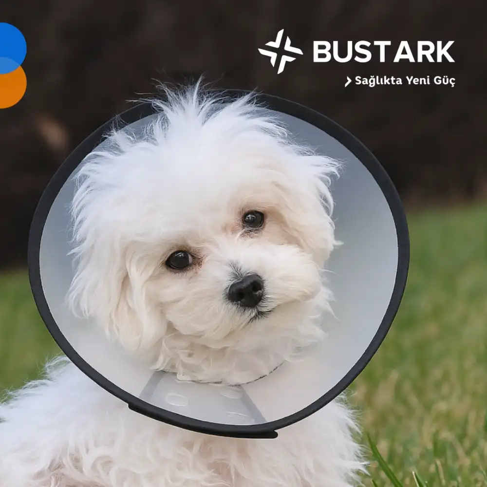 Bustark Kedi Köpek Elizabeth Kauçuk Dikişli Yakalık 10cm