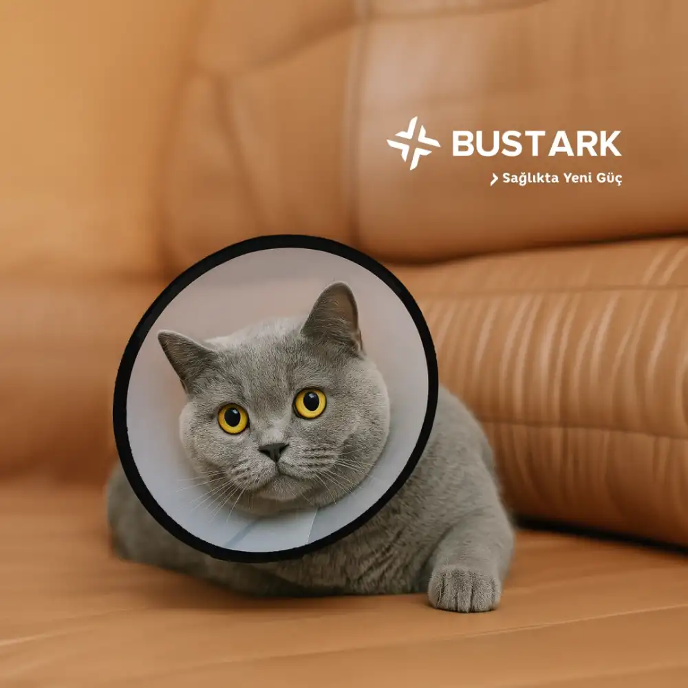 Bustark Kedi Köpek Elizabeth Kauçuk Dikişli Yakalık 10cm