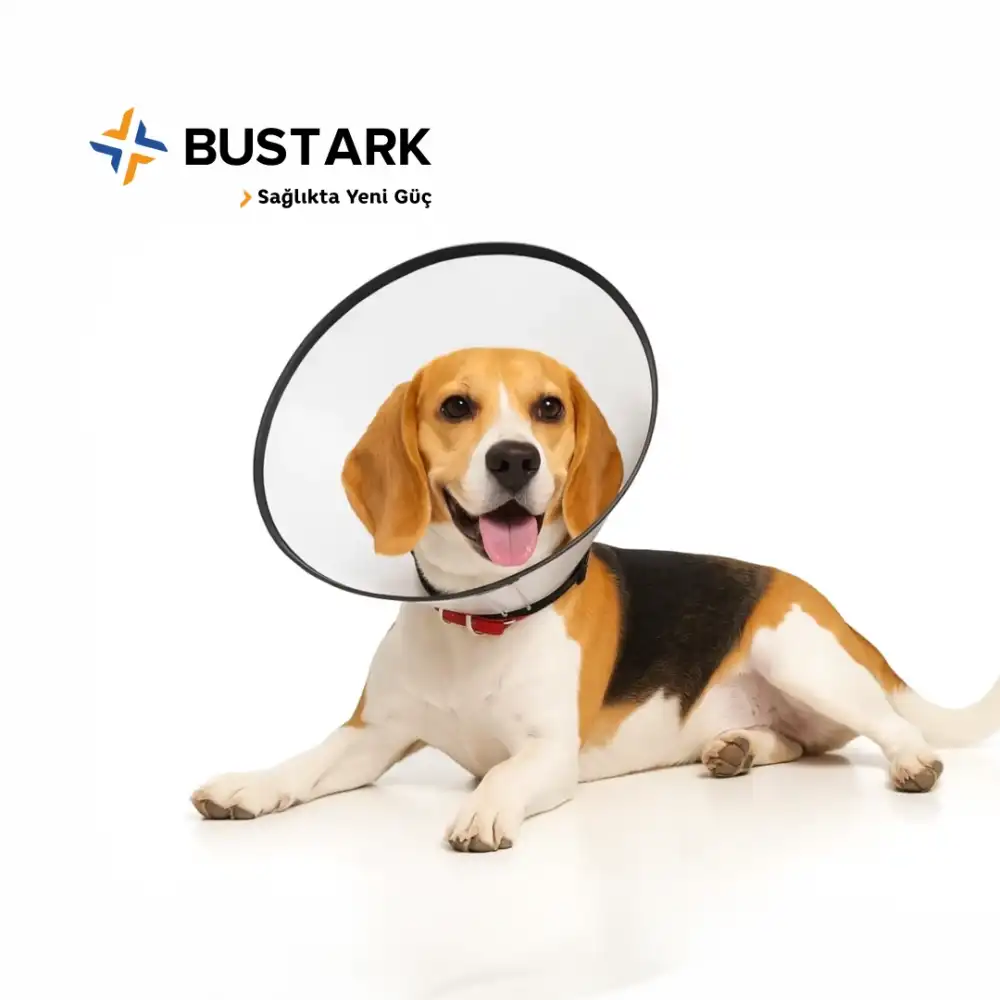 Bustark Kedi Köpek Elizabeth Kauçuk Dikişli Yakalık 15cm
