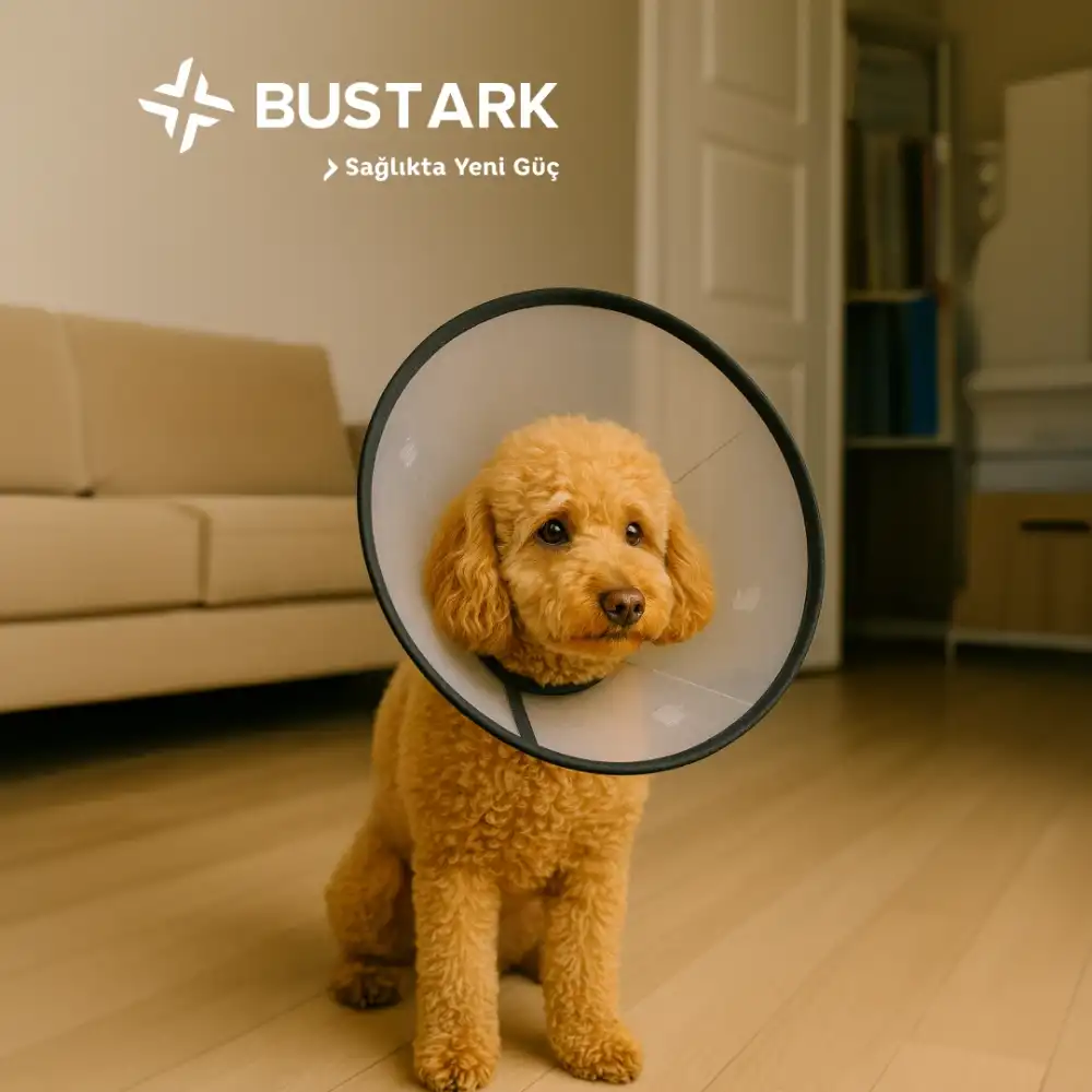 Bustark Kedi Köpek Elizabeth Kauçuk Dikişli Yakalık 15cm