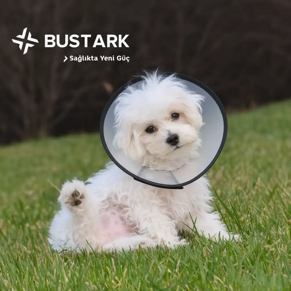 Bustark Kedi Köpek Elizabeth Kauçuk Dikişli Yakalık 15cm