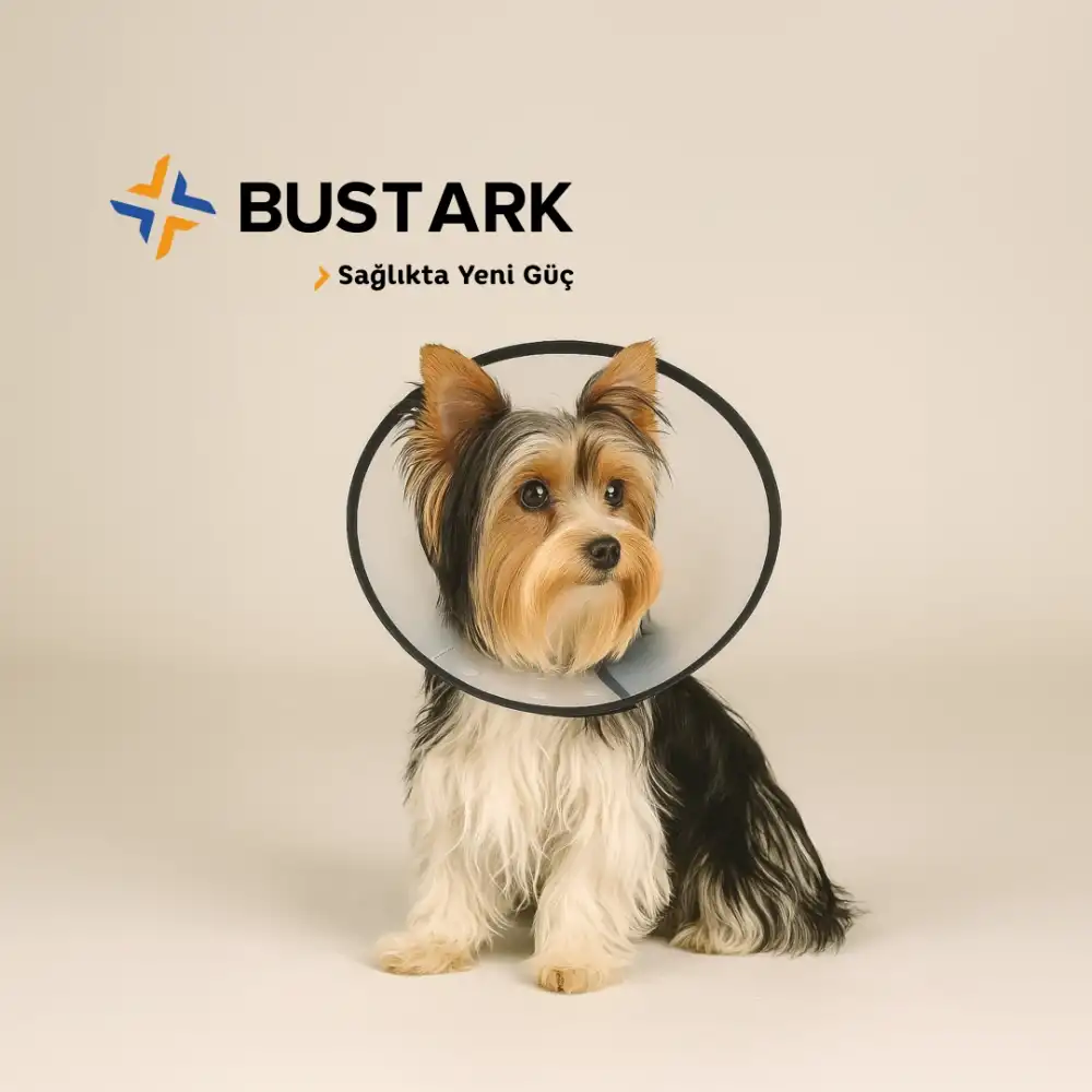 Bustark Kedi Köpek Elizabeth Kauçuk Dikişli Yakalık 20cm