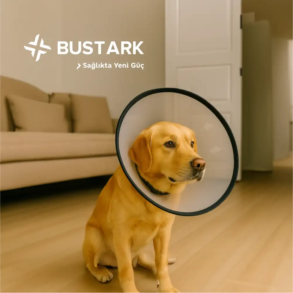 Bustark Kedi Köpek Elizabeth Kauçuk Dikişli Yakalık 30cm