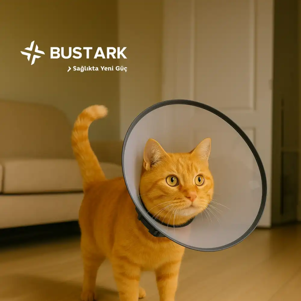 Bustark Kedi Köpek Elizabeth Kauçuk Dikişli Yakalık 7,5cm