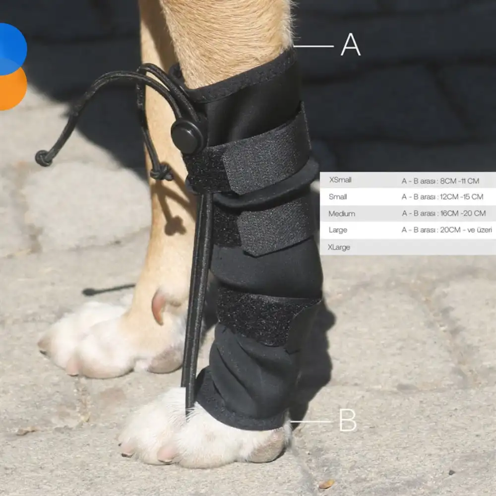 Kedi Köpekler için Ön Ayak Düzleştirici (M) - Medium