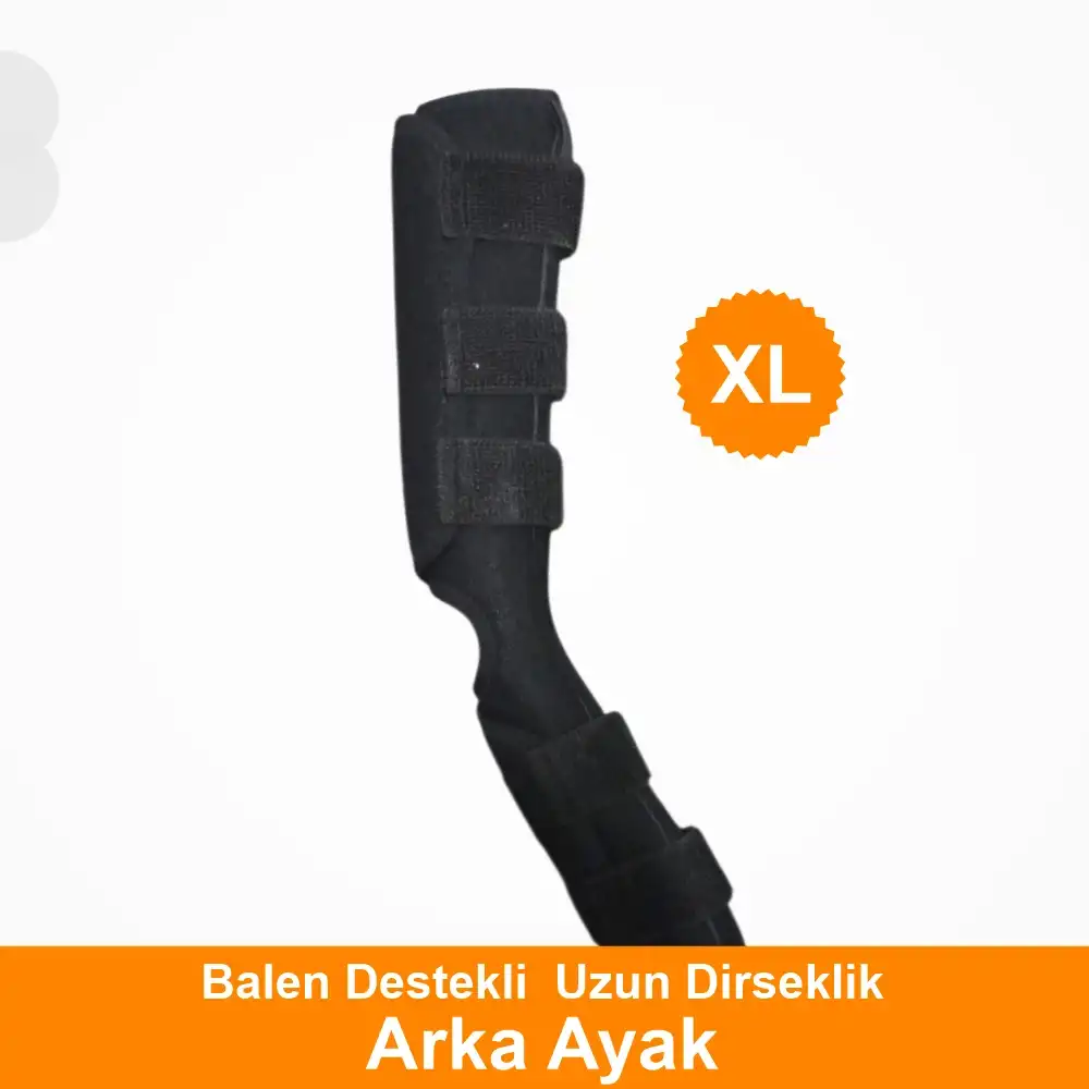 Köpekler için Balen Destekli Arka Ayak Uzun Dirseklik X Large - (XL)