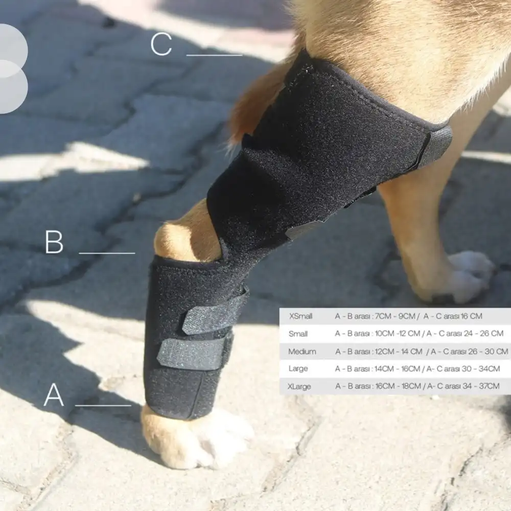 Köpekler için Balen Destekli Arka Ayak Uzun Dirseklik Large - (L)