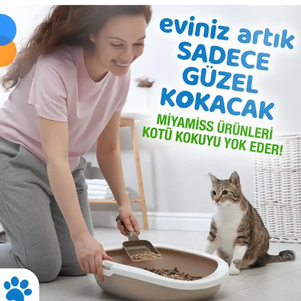 Miyamiss Kedi Kumu Koku Giderici Elite 250 Gr