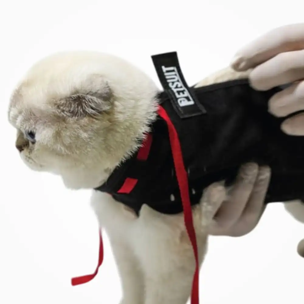 PetSuit Kedi Köpekler için Yara Koruyucu Korse (S) Small