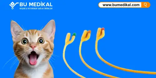 Kedi İdrar Sondası Nedir, Ne İşe Yarar, Nasıl Kullanılır?