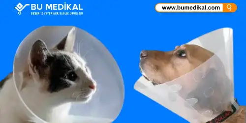 Kedi/Köpek Yakalığı Nedir, Ne İşe Yarar, Ne İçin Kullanılır?