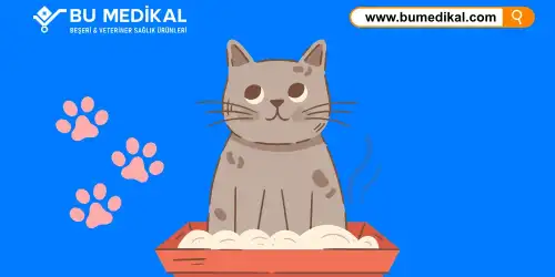 Kedi Kumu Koku Giderici Nedir, Ne İşe Yarar, Nasıl Kullanılır?