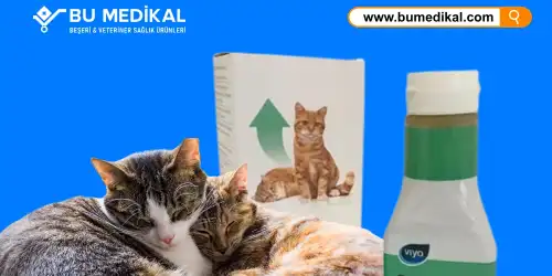 Kedi ve Köpekler İçin Besin Takviyeleri Nedir, Ne İşe Yarar, Nasıl Kullanılır?