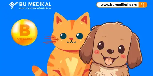  Kedi ve Köpekleriniz İçin B Vitamini- Nedir, Ne İşe Yarar, Nasıl Kullanılır?