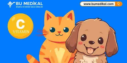 Kedi ve Köpekleriniz İçin C Vitamini - Nedir, Ne İşe Yarar, Nasıl Kullanılır?