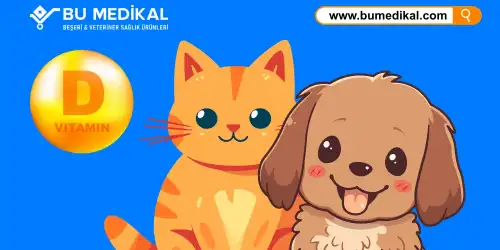 Kedi ve Köpekleriniz İçin D Vitamini - Nedir, Ne İşe Yarar, Nasıl Kullanılır?