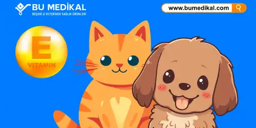Kedi ve Köpekleriniz İçin E Vitamini - Nedir, Ne İşe Yarar, Nasıl Kullanılır?