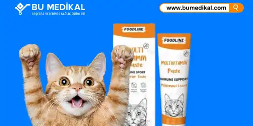 Malt Macunu Nedir, Ne İşe Yarar, Nasıl Kullanılır?