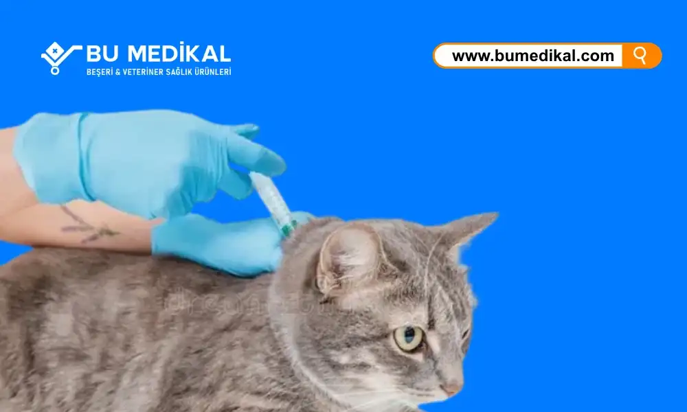 Kedi Enjeksiyonu Nedir, Ne İşe Yarar? Kedi Enjeksiyonu Nasıl Yapılır?