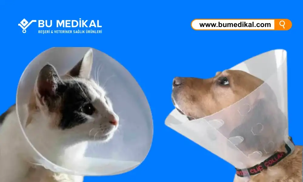 Kedi/Köpek Yakalığı Nedir, Ne İşe Yarar, Ne İçin Kullanılır?