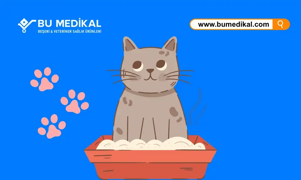 Kedi Kumu Koku Giderici Nedir, Ne İşe Yarar, Nasıl Kullanılır?